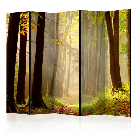 Paravan Mysterious Forest Path Ii [Room Dividers] 225 cm x 172 cm-01