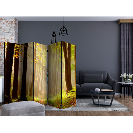 Paravan Mysterious Forest Path Ii [Room Dividers] 225 cm x 172 cm-01