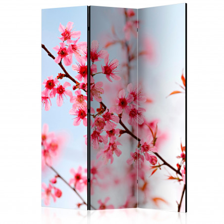 Paravan Symbol Of Japan Sakura Flowers [Room Dividers] 135 cm x 172 cm-01