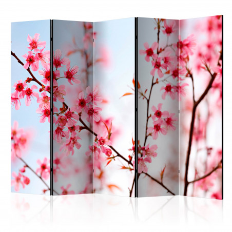 Paravan Symbol Of Japan Sakura Flowers Ii [Room Dividers] 225 cm x 172 cm-01