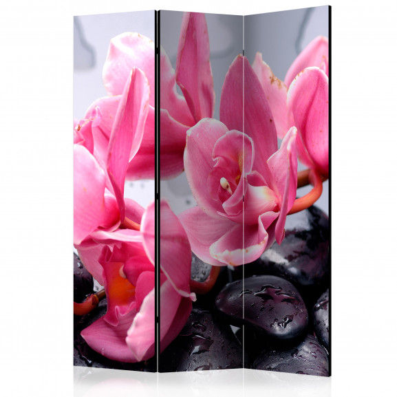 Paravan Orchid Flowers With Zen Stones [Room Dividers] 135 cm x 172 cm