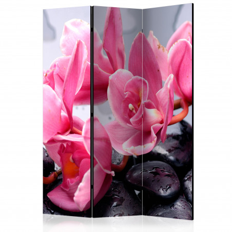 Paravan Orchid Flowers With Zen Stones [Room Dividers] 135 cm x 172 cm-01