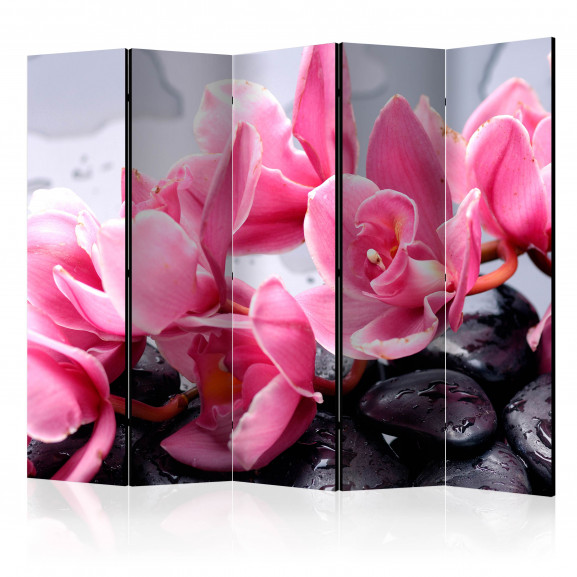 Paravan Orchid Flowers With Zen Stones Ii [Room Dividers] 225 cm x 172 cm