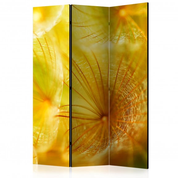 Paravan Soft Dandelion Flower [Room Dividers] 135 cm x 172 cm