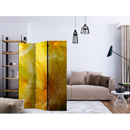 Paravan Soft Dandelion Flower [Room Dividers] 135 cm x 172 cm-01