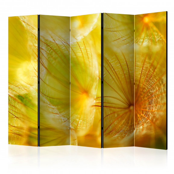 Paravan Soft Dandelion Flower Ii [Room Dividers] 225 cm x 172 cm