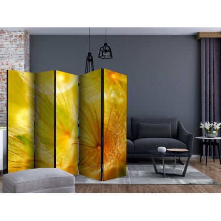 Paravan Soft Dandelion Flower Ii [Room Dividers] 225 cm x 172 cm-01