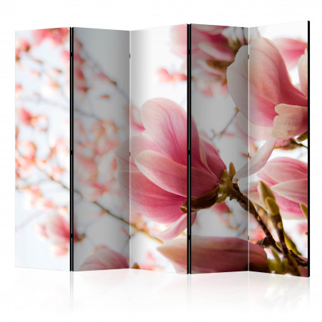 Paravan Pink Magnolia Ii [Room Dividers] 225 cm x 172 cm-01
