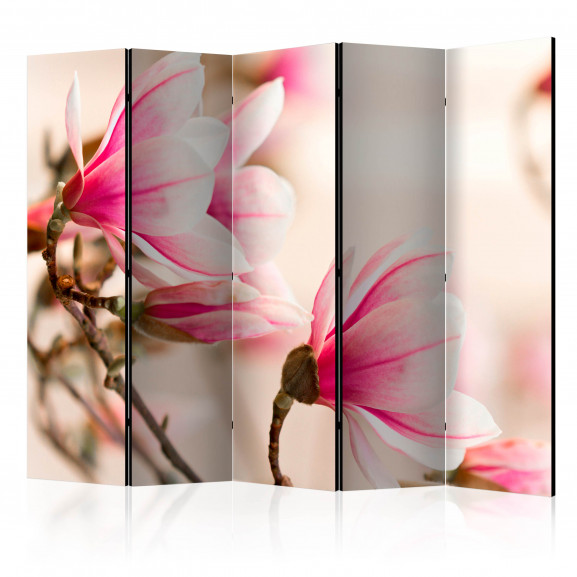 Paravan Branch Of Magnolia Tree Ii [Room Dividers] 225 cm x 172 cm