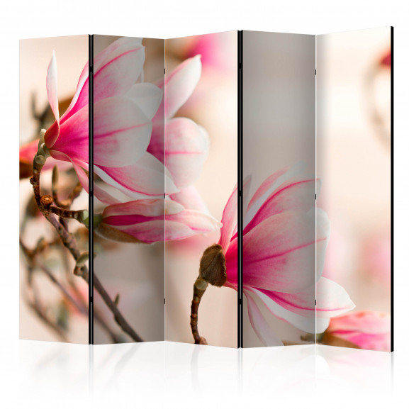 Paravan Branch Of Magnolia Tree Ii [Room Dividers] 225 cm x 172 cm 172