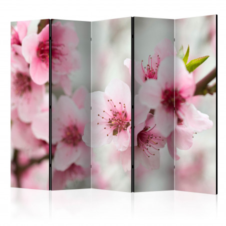 Paravan Spring, Blooming Tree Pink Flowers Ii [Room Dividers] 225 cm x 172 cm-01