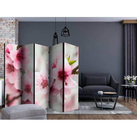 Paravan Spring, Blooming Tree Pink Flowers Ii [Room Dividers] 225 cm x 172 cm-01