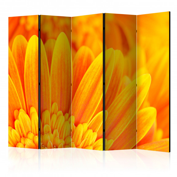 Paravan Yellow Gerbera Daisies Ii [Room Dividers] 225 cm x 172 cm