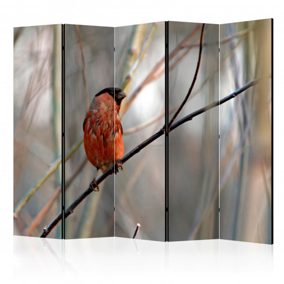 Paravan Bullfinch In The Forest Ii [Room Dividers] 225 cm x 172 cm 172