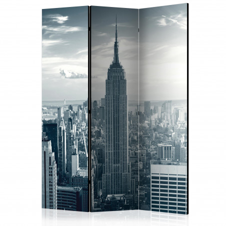 Paravan Amazing View To New York Manhattan At Sunrise [Room Dividers] 135 cm x 172 cm-01