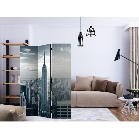 Paravan Amazing View To New York Manhattan At Sunrise [Room Dividers] 135 cm x 172 cm-01