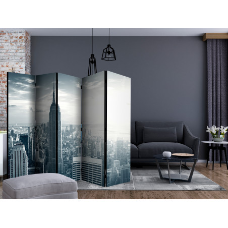 Paravan Amazing View To New York Manhattan At Sunrise Ii [Room Dividers] 225 cm x 172 cm-01