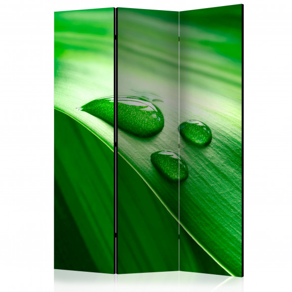 Paravan Leaf And Three Drops Of Water [Room Dividers] 135 cm x 172 cm