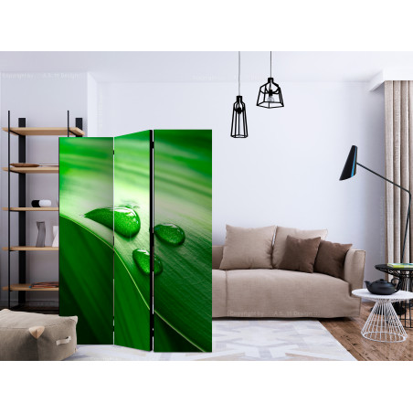 Paravan Leaf And Three Drops Of Water [Room Dividers] 135 cm x 172 cm-01