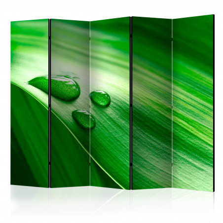 Paravan Leaf And Three Drops Of Water Ii [Room Dividers] 225 cm x 172 cm-01