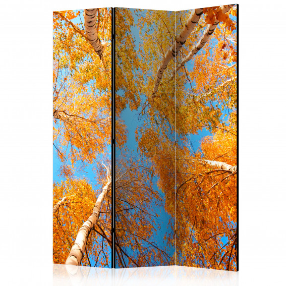 Paravan Autumnal Treetops [Room Dividers] 135 cm x 172 cm