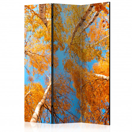 Paravan Autumnal Treetops [Room Dividers] 135 cm x 172 cm-01