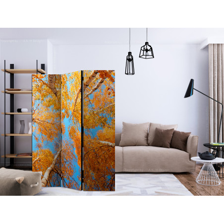 Paravan Autumnal Treetops [Room Dividers] 135 cm x 172 cm-01