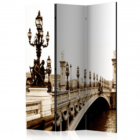 Paravan Alexander Iii Bridge, Paris [Room Dividers] 135 cm x 172 cm-01