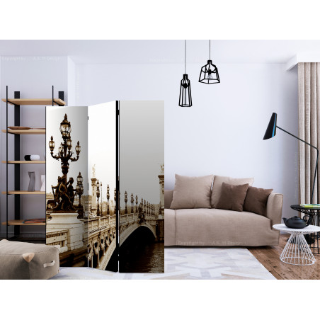 Paravan Alexander Iii Bridge, Paris [Room Dividers] 135 cm x 172 cm-01