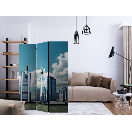 Paravan Berlin [Room Dividers] 135 cm x 172 cm-01