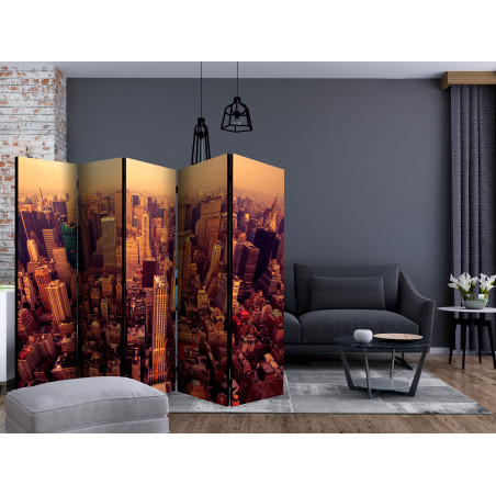 Paravan Bird Eye View Of Manhattan, New York Ii [Room Dividers] 225 cm x 172 cm-01