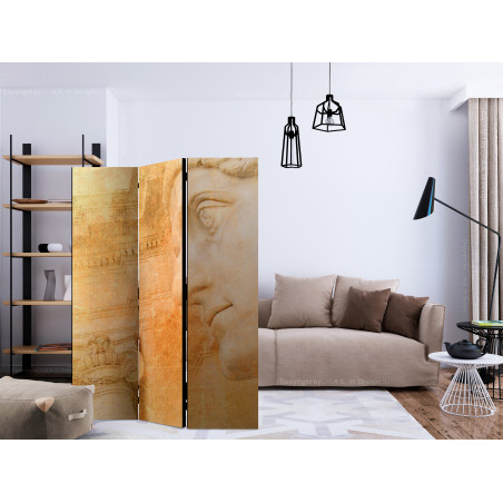 Paravan Greek God [Room Dividers] 135 cm x 172 cm-01