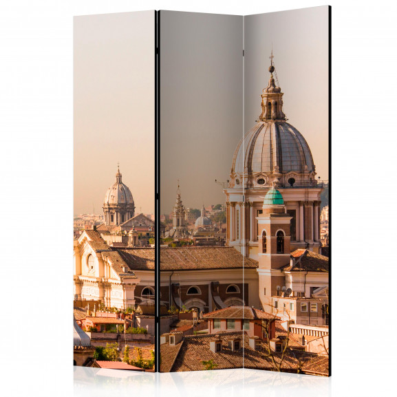 Paravan Rome Bird'S Eye View [Room Dividers] 135 cm x 172 cm