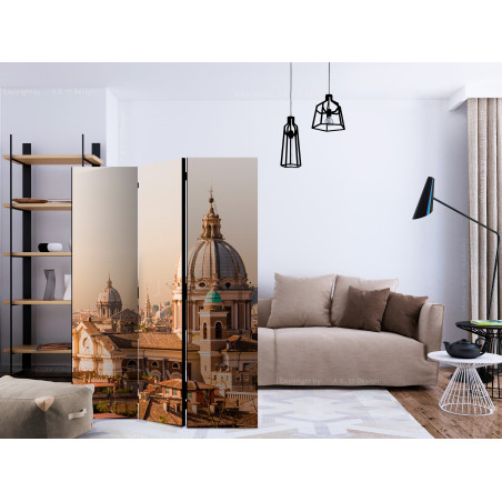 Paravan Rome Bird'S Eye View [Room Dividers] 135 cm x 172 cm-01