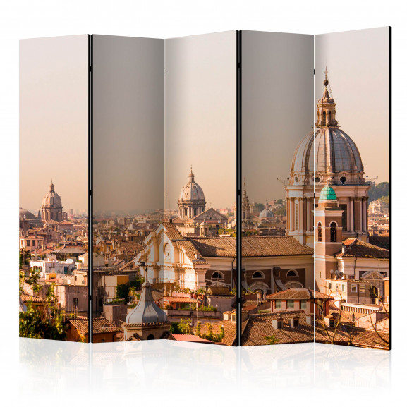 Paravan Rome Bird'S Eye View Ii [Room Dividers] 225 cm x 172 cm