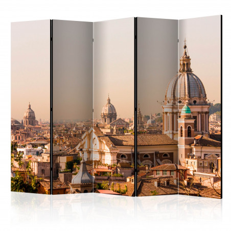 Paravan Rome Bird'S Eye View Ii [Room Dividers] 225 cm x 172 cm-01