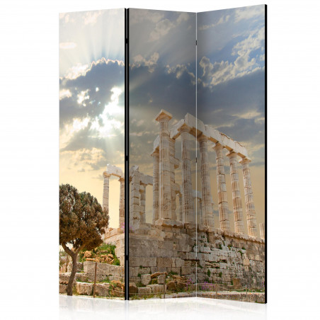 Paravan The Acropolis, Greece [Room Dividers] 135 cm x 172 cm-01