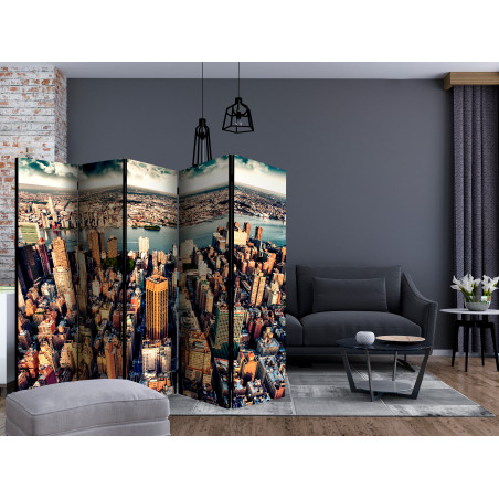 Paravan Bird'S Eye View Of New York Ii [Room Dividers] 225 cm x 172 cm-01