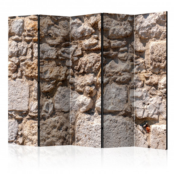 Paravan Stone Castle Ii [Room Dividers] 225 cm x 172 cm