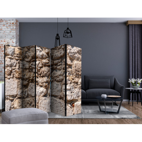 Paravan Stone Castle Ii [Room Dividers] 225 cm x 172 cm-01