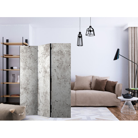 Paravan Urban Style: Concrete [Room Dividers] 135 cm x 172 cm-01