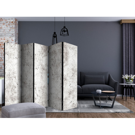 Paravan Urban Style: Concrete Ii [Room Dividers] 225 cm x 172 cm-01