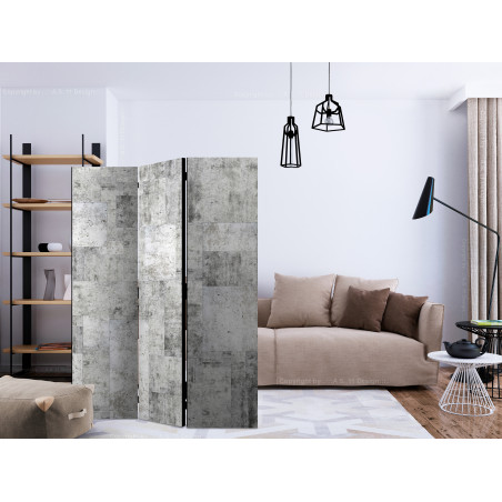 Paravan Concrete: Grey City [Room Dividers] 135 cm x 172 cm-01