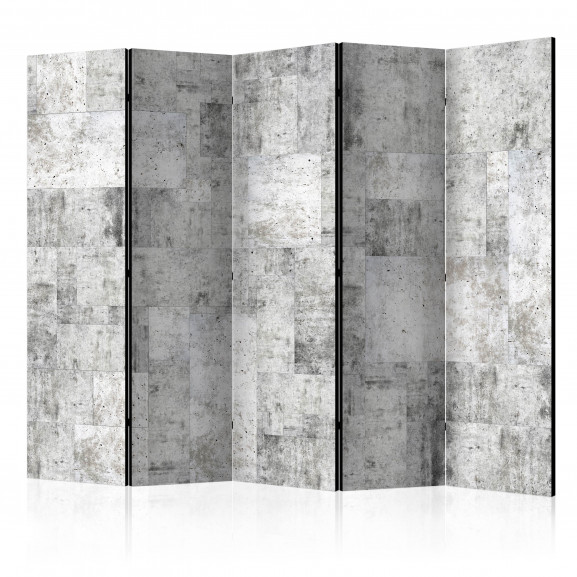 Paravan Concrete: Grey City Ii [Room Dividers] 225 cm x 172 cm