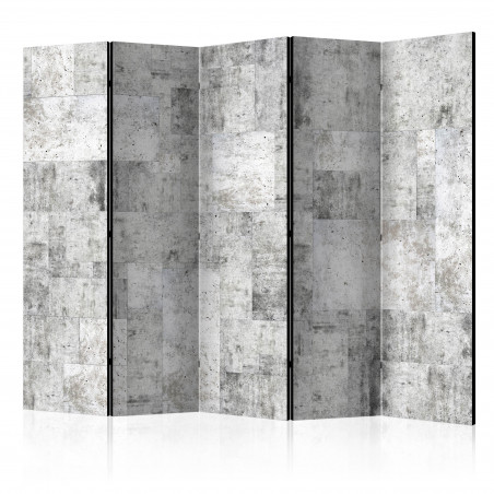 Paravan Concrete: Grey City Ii [Room Dividers] 225 cm x 172 cm-01
