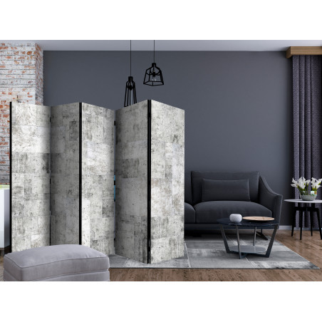 Paravan Concrete: Grey City Ii [Room Dividers] 225 cm x 172 cm-01
