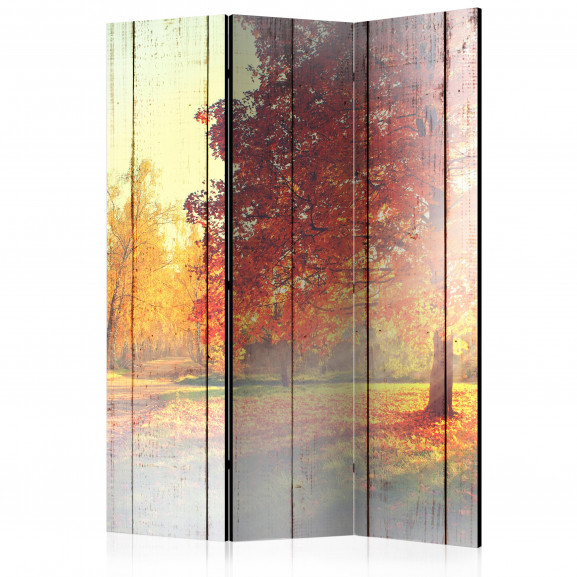 Paravan Autumn Sun [Room Dividers] 135 cm x 172 cm