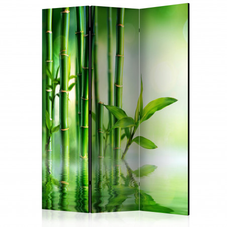Paravan Bamboo Grove [Room Dividers] 135 cm x 172 cm-01