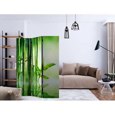 Paravan Bamboo Grove [Room Dividers] 135 cm x 172 cm-01