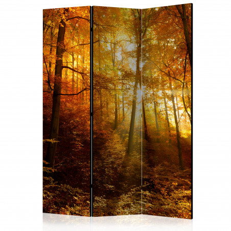 Paravan Autumn Illumination [Room Dividers] 135 cm x 172 cm-01